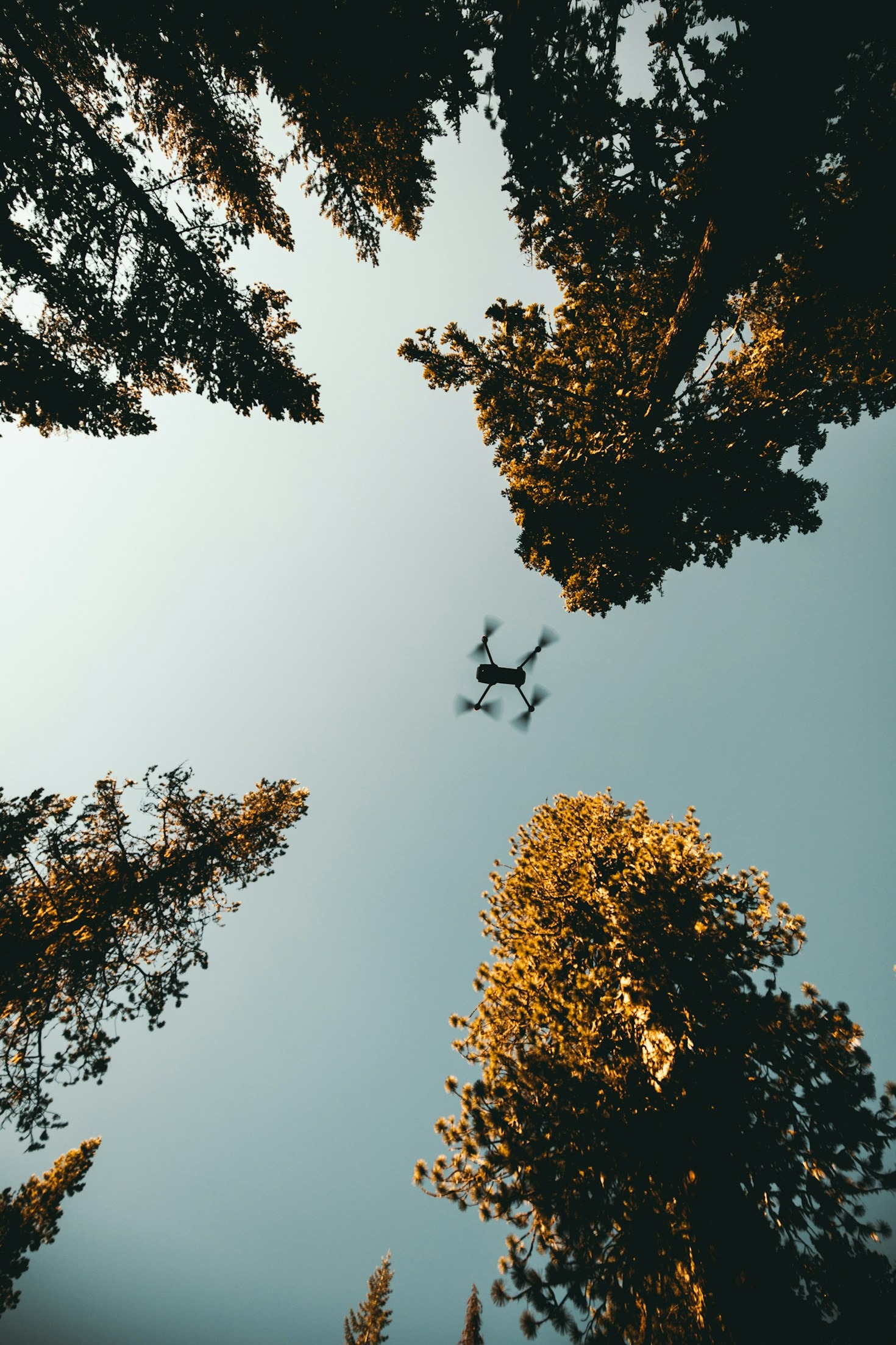 Come scegliere il drone perfetto per le riprese