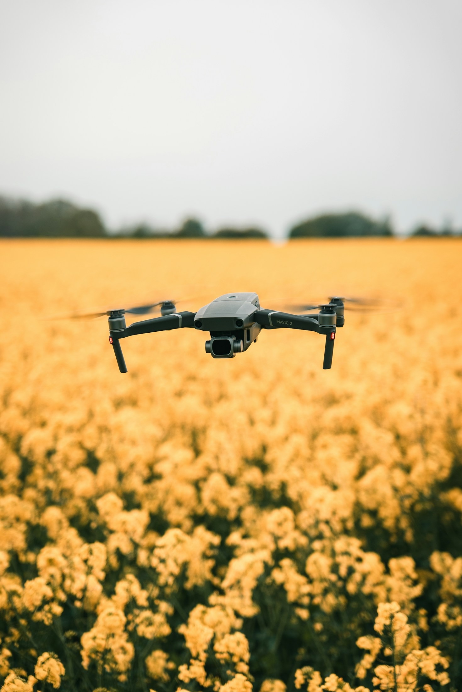 Guida all’uso dei droni in agricoltura di precisione