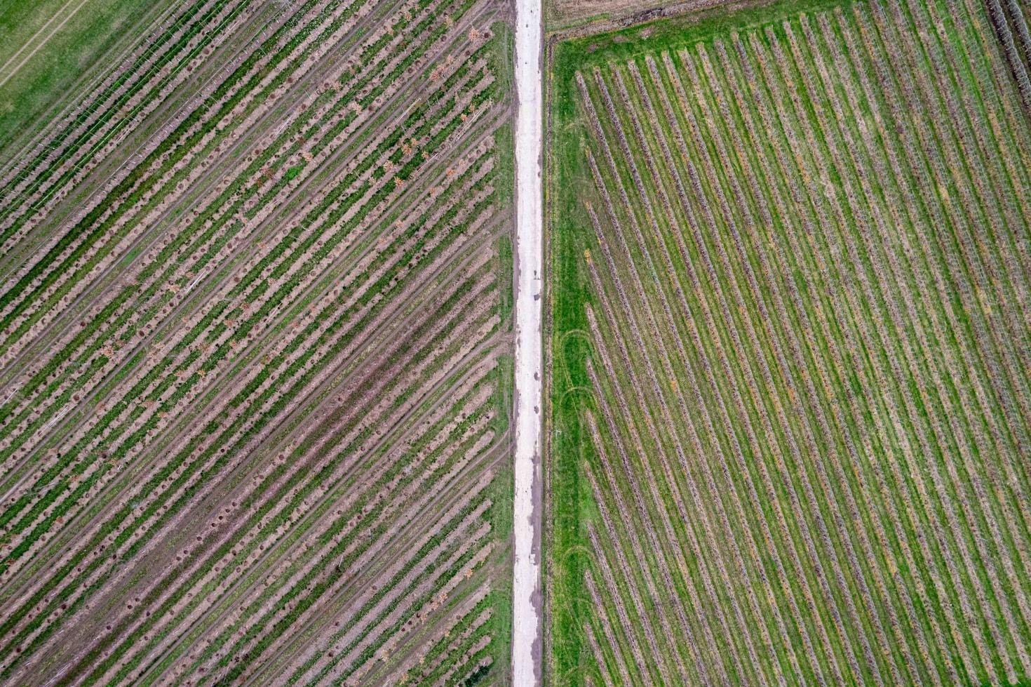 Innovazioni nei droni agricoli: cosa sapere
